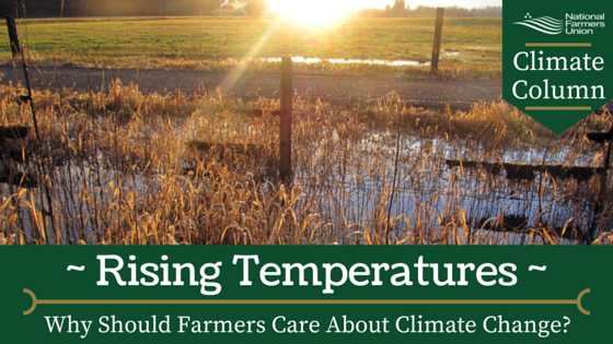 Climate Column - Rising Temperatures