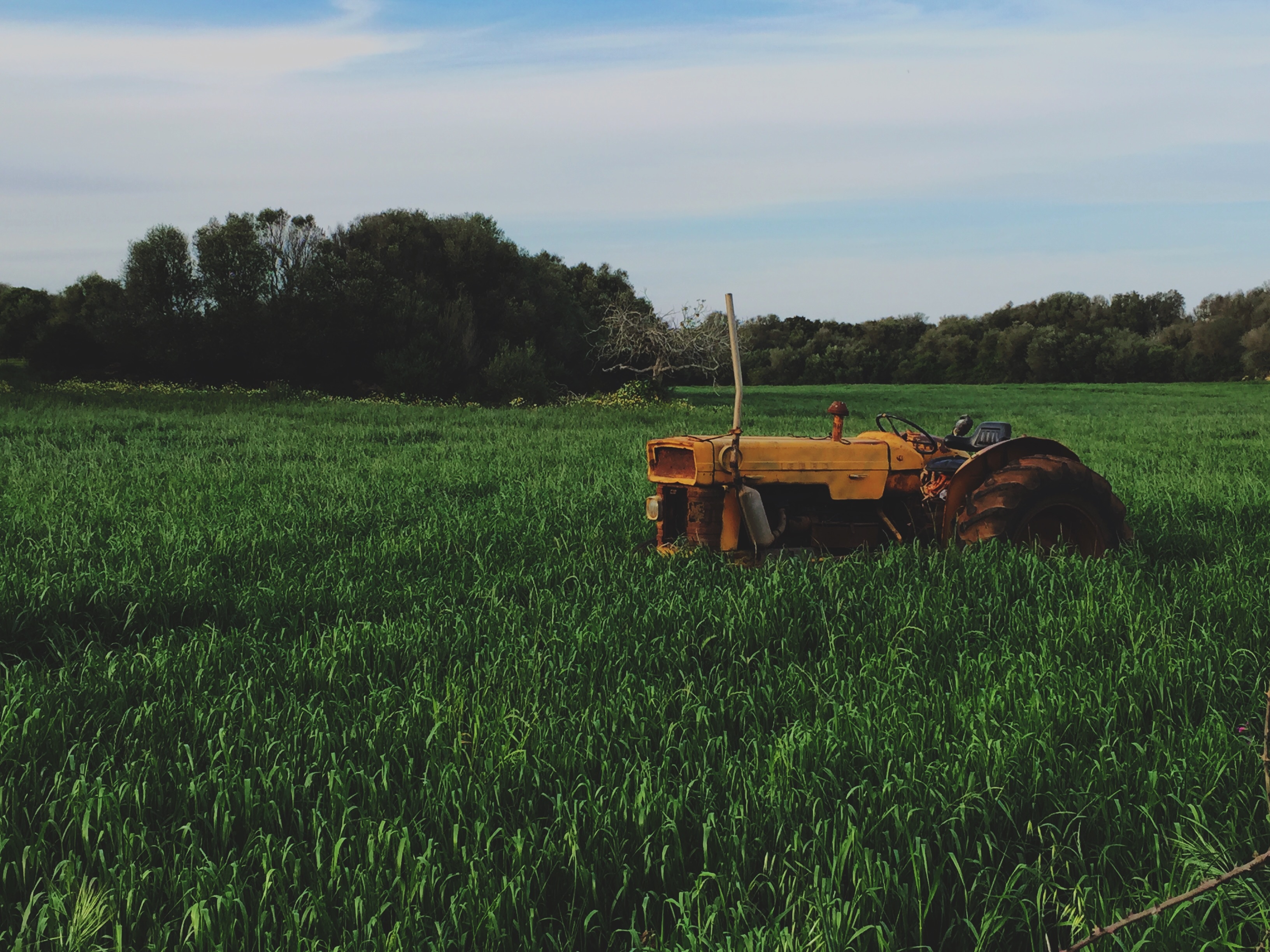 topics farming grants loans topics farming grants loans