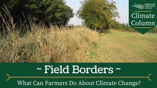 field-borders