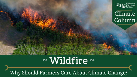 Climate Column - Wildfire