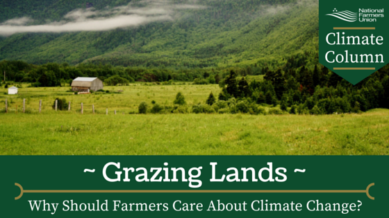 climate-column-grazing-lands