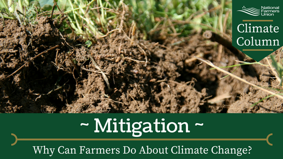 climate-column-mitigation