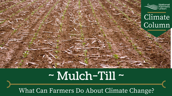 mulch-till