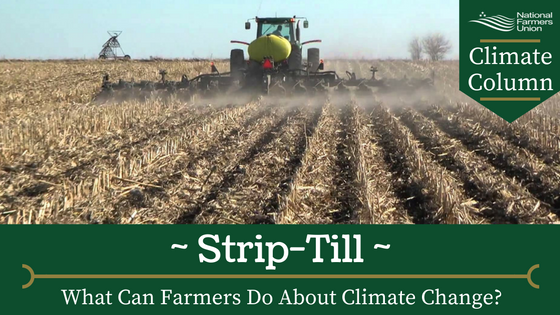 strip-till