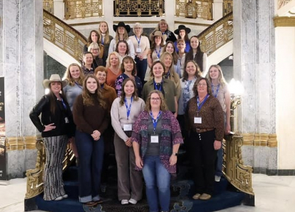 54932873603_913e2fbc11_c