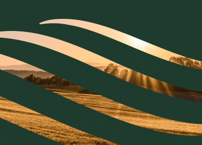 nfu-fallback-search nfu-fallback-search