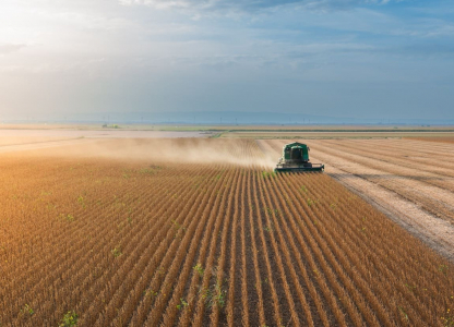 A combine harvesting soybeans at sunset