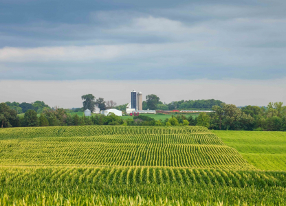 Field of corn and a farm with rainy clouds above on a summer day in Minnesota